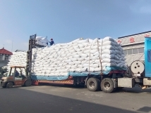 把握機(jī)遇、鉚足干勁、承勢(shì)而上