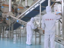 2025年的第一個(gè)月，承德亞歐果仁有限公司在山杏產(chǎn)業(yè)的道路上持續(xù)奮進(jìn)，展現(xiàn)出蓬勃的發(fā)展活力。